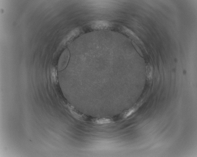 X0000071330669200607141907