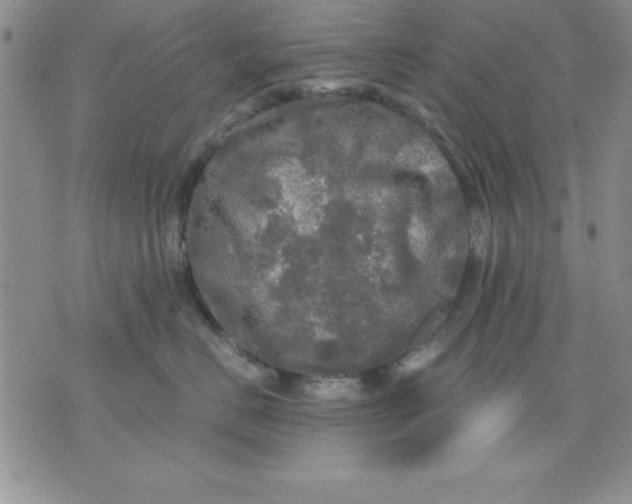 X0000071330670200607141907