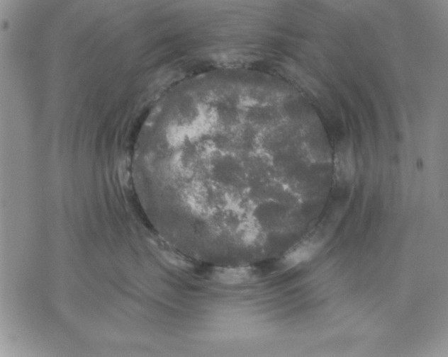 X0000071330671200607141907