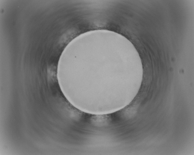 X0000071330672200607141907