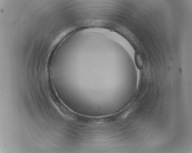 X0000071330674200607141906