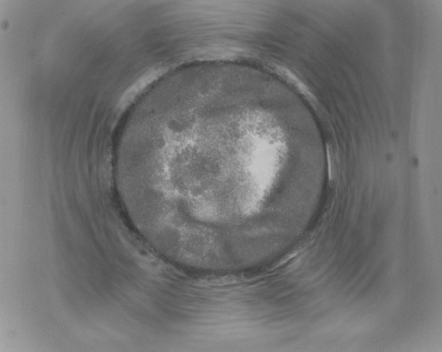 X0000071330675200607141906