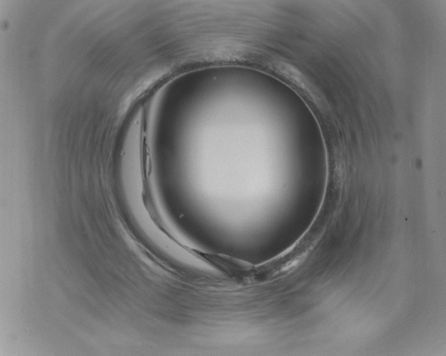 X0000071330677200607141906