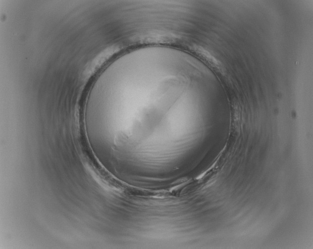 X0000071330678200607141906