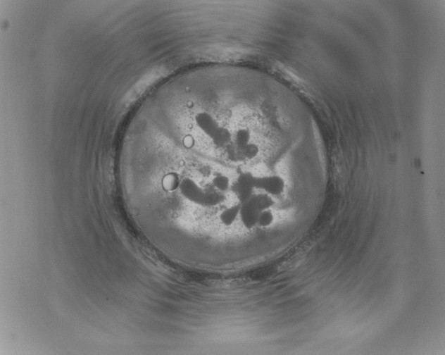 X0000071330679200607141906