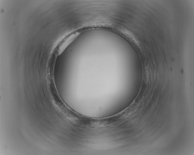 X0000071330680200607141906