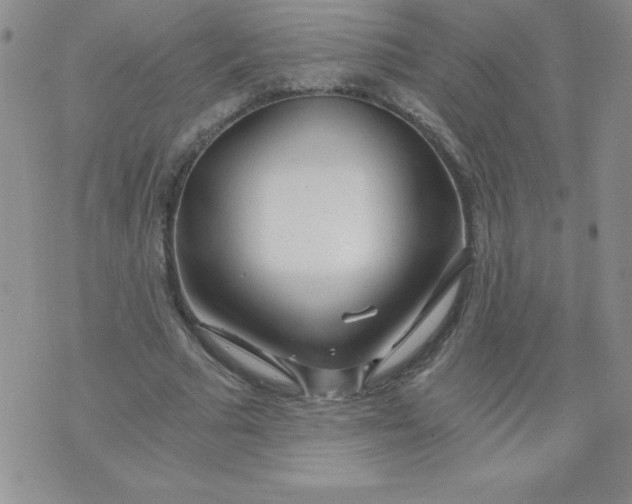 X0000071330681200607141906