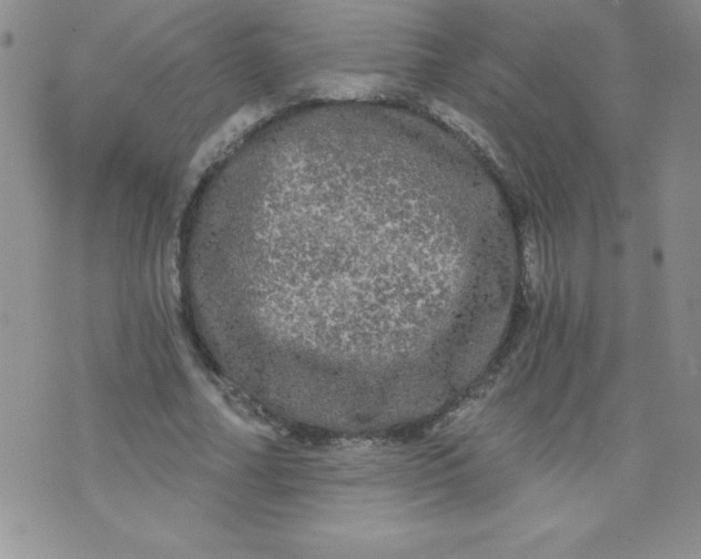 X0000071330682200607141906