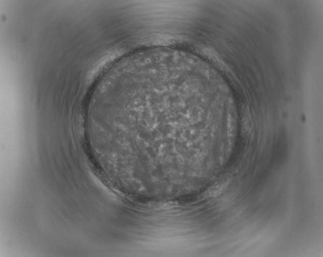 X0000071330683200607141906