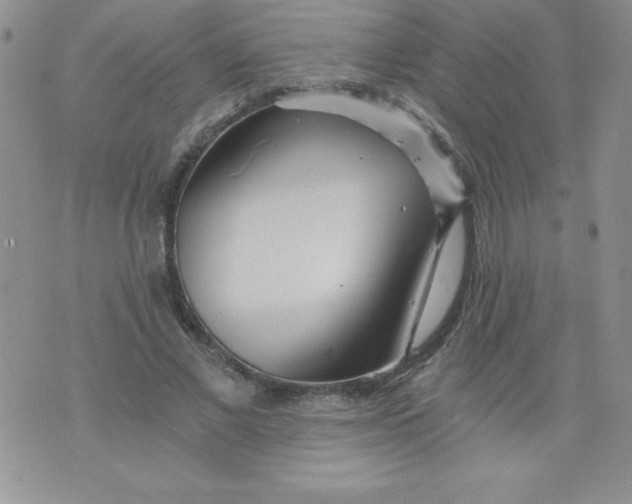 X0000071330685200607141906