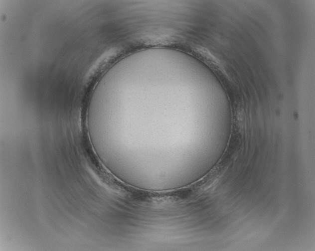 X0000071330686200607141906