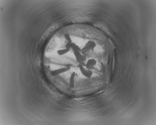 X0000071330687200607141906