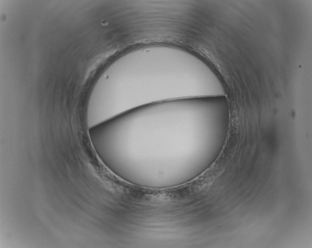 X0000071330688200607141906