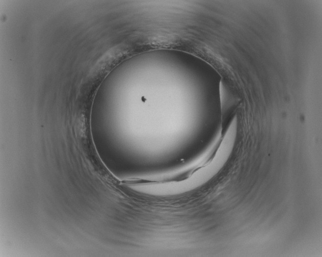 X0000071330689200607141906