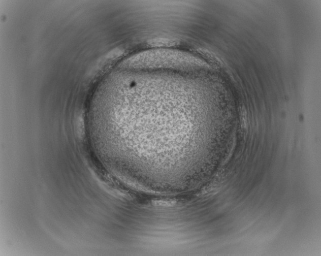 X0000071330690200607141906