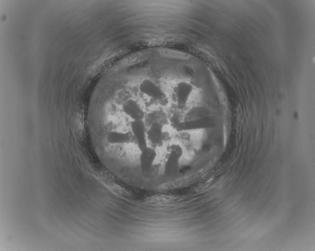 X0000071330691200607141906