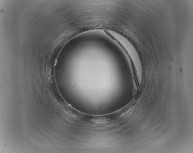 X0000071330693200607141906