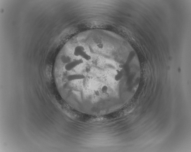 X0000071330695200607141906