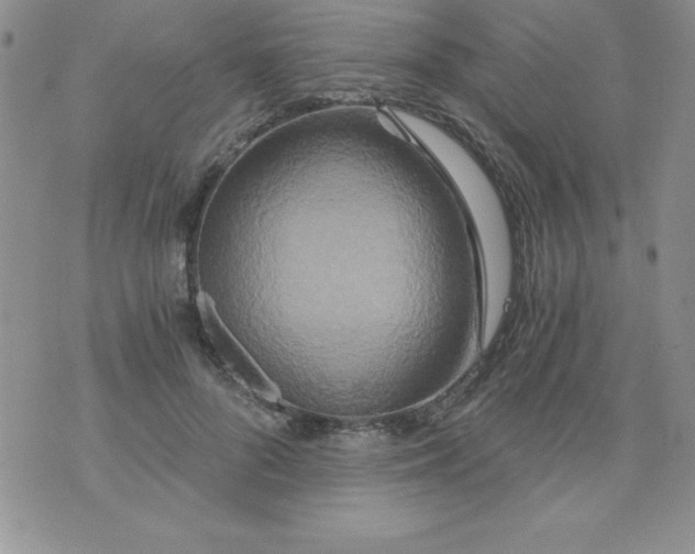 X0000071330696200607141906