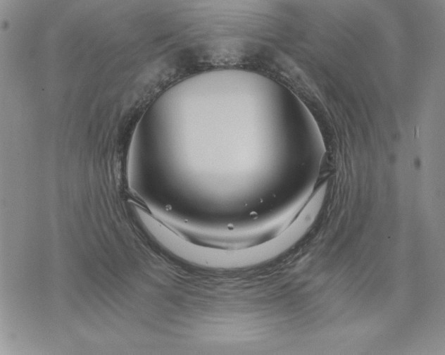 X0000071330697200607141906