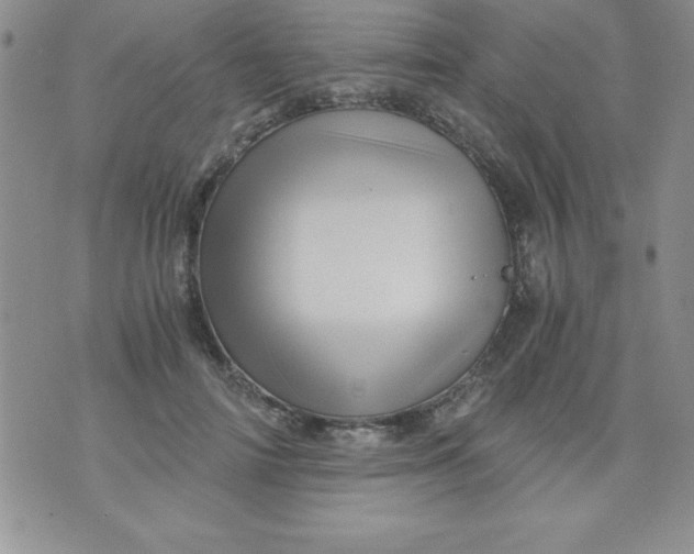 X0000071330698200607141906