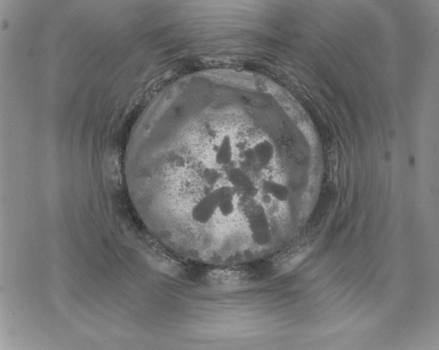 X0000071330699200607141906