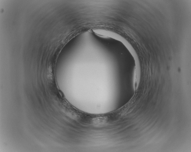 X0000071330700200607141906