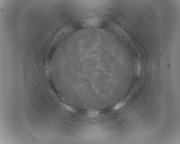 X0000071330701200607141906