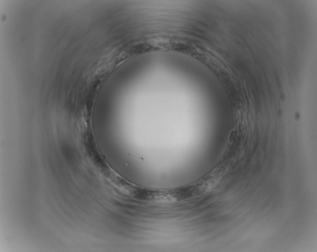 X0000071330702200607141906