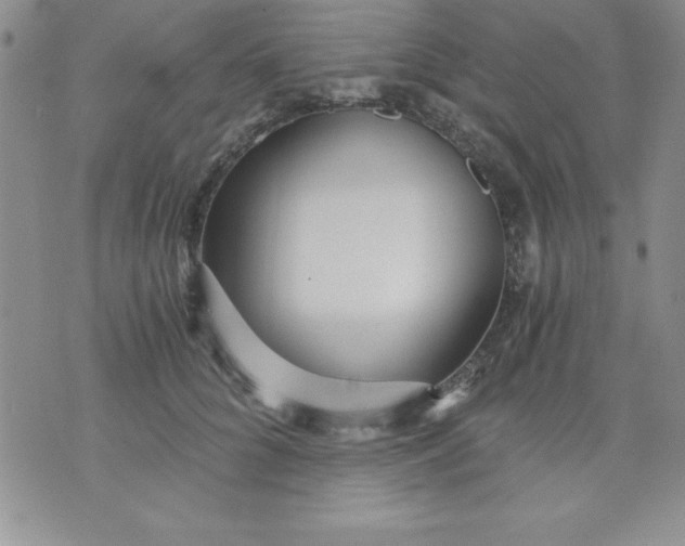 X0000071330704200607141906