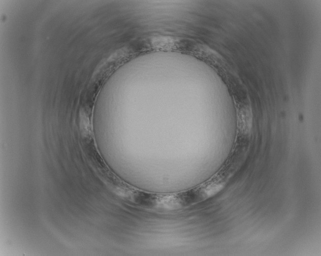 X0000071330705200607141906