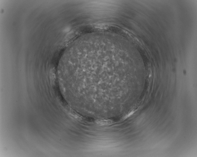 X0000071330707200607141906