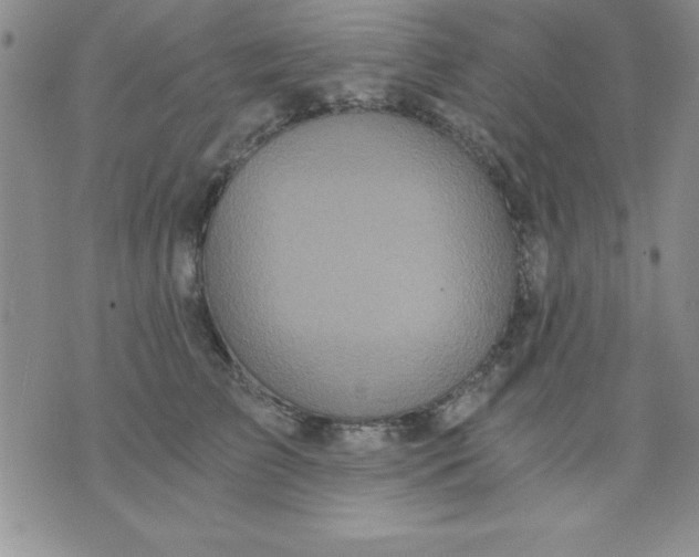 X0000071330709200607141906