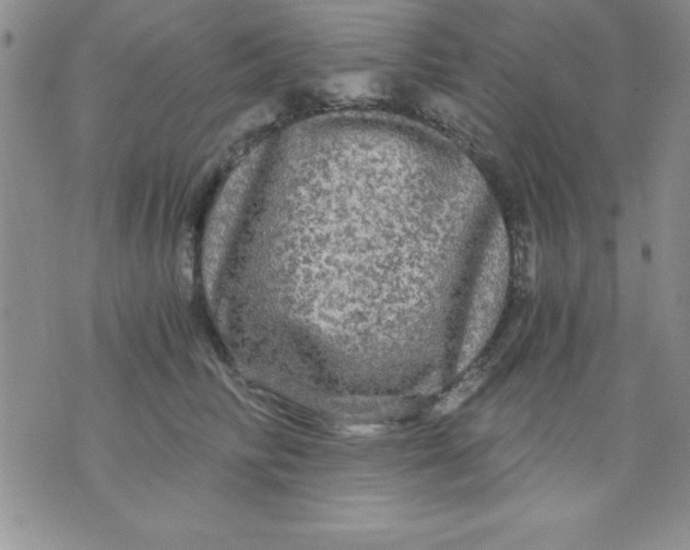 X0000071330710200607141905