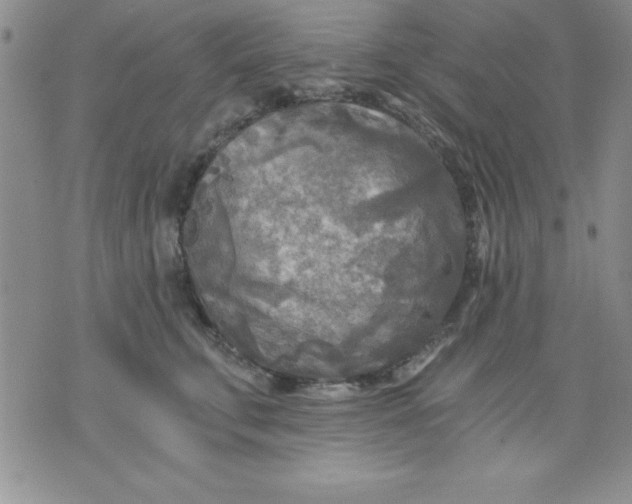 X0000071330711200607141905