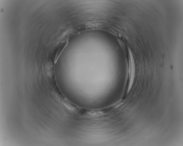 X0000071330712200607141905