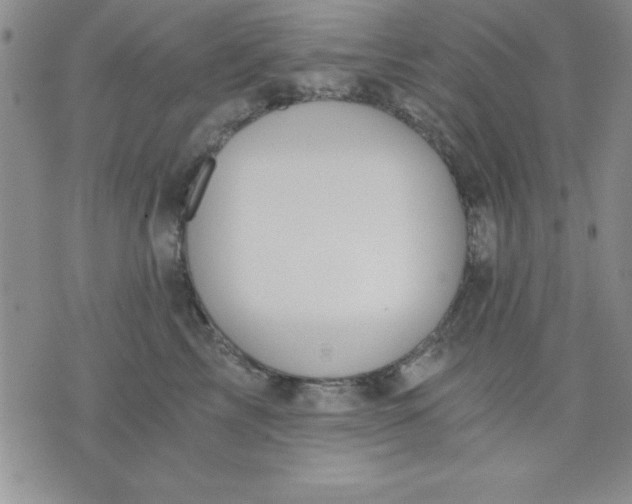 X0000071330713200607141905