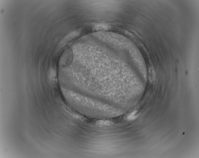 X0000071330714200607141905