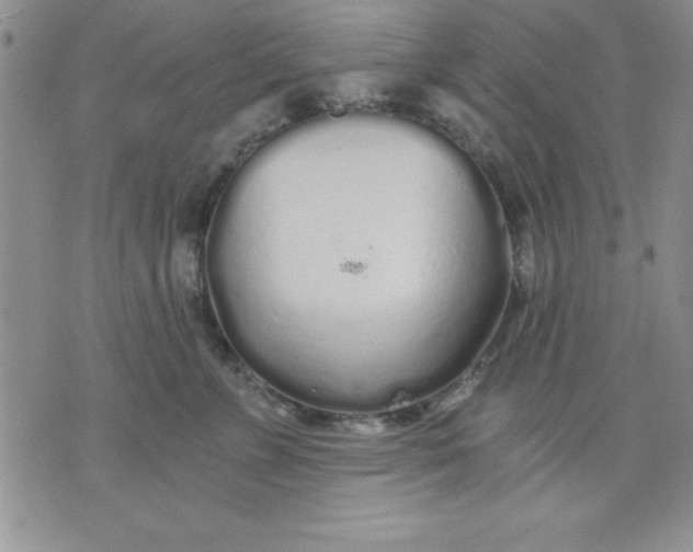 X0000071330715200607141905