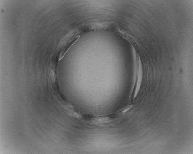 X0000071330716200607141905