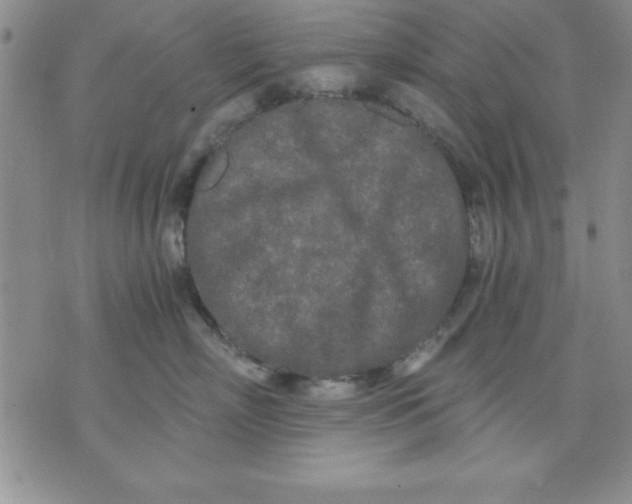 X0000071330718200607141905