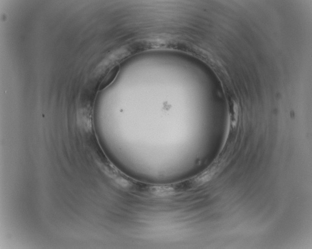 X0000071330719200607141905