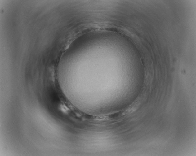 X0000071330720200607141905