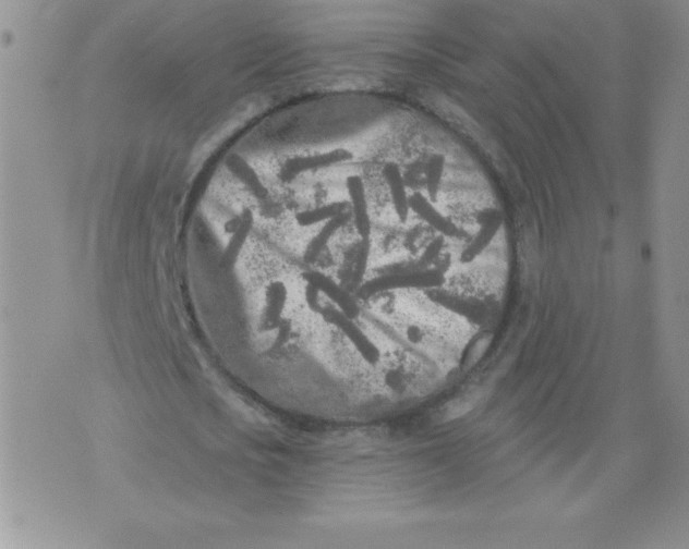 X0000071330721200607141905