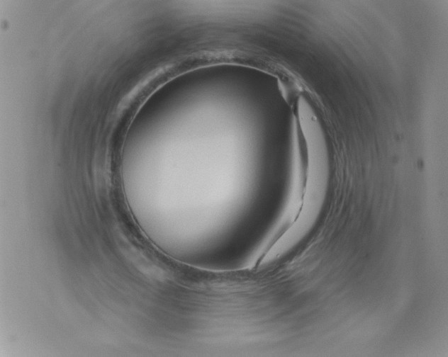 X0000071330722200607141905