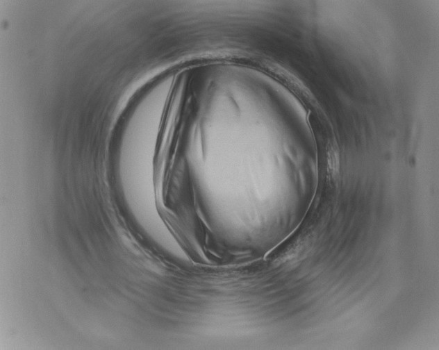 X0000071330724200607141905