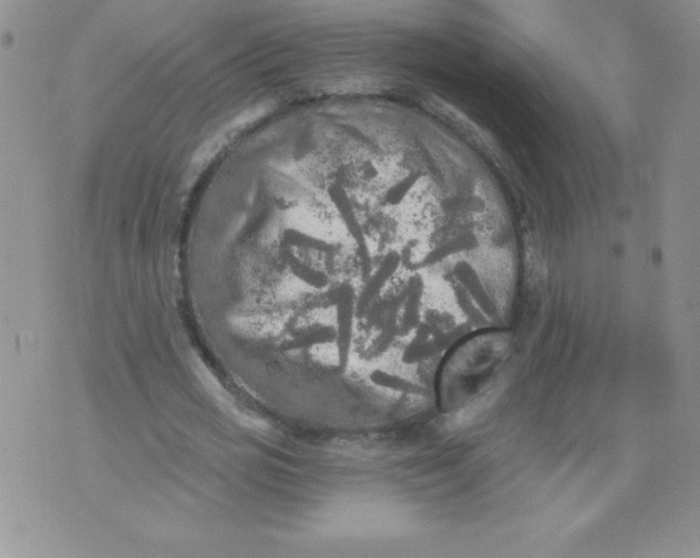 X0000071330725200607141905