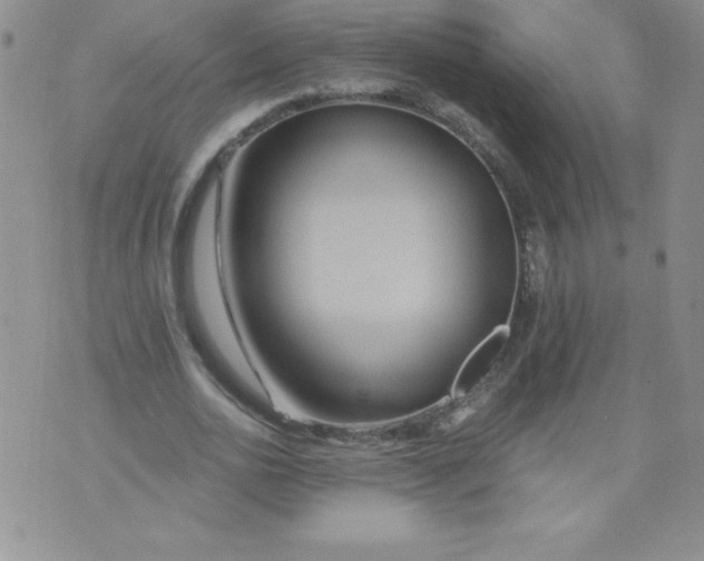 X0000071330726200607141905