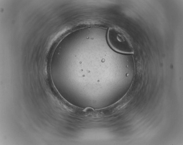 X0000071330727200607141905