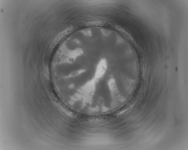 X0000071330729200607141905